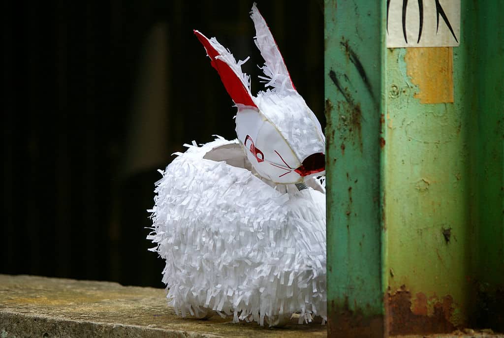 Horoscope chinois du Lièvre 2019 Horoscope chinois du Lièvre 2019